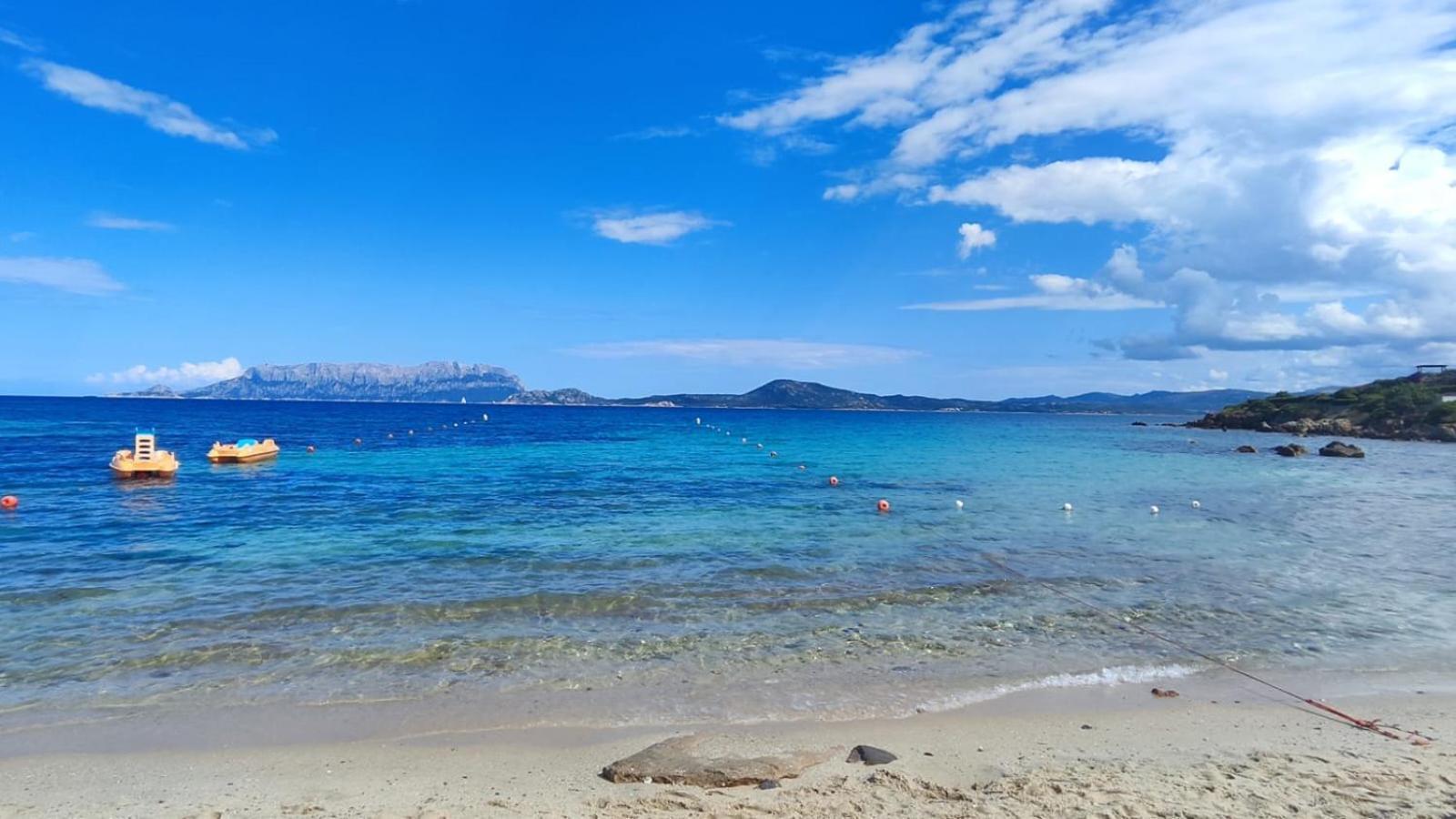 Appartamento Pietro Direttamente Sul Mare Di Costa Smeralda